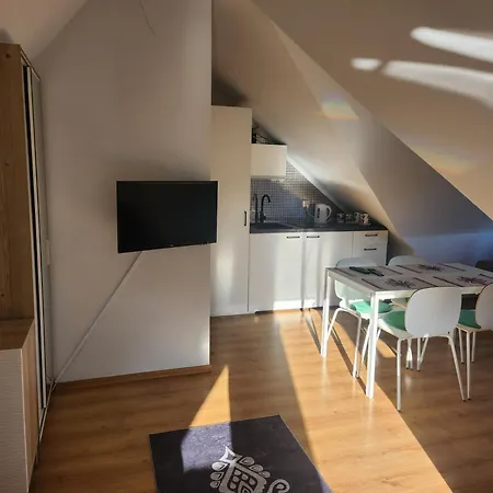 Gubalowka Polana Pajakowka Magnus Apartment Koscielisko